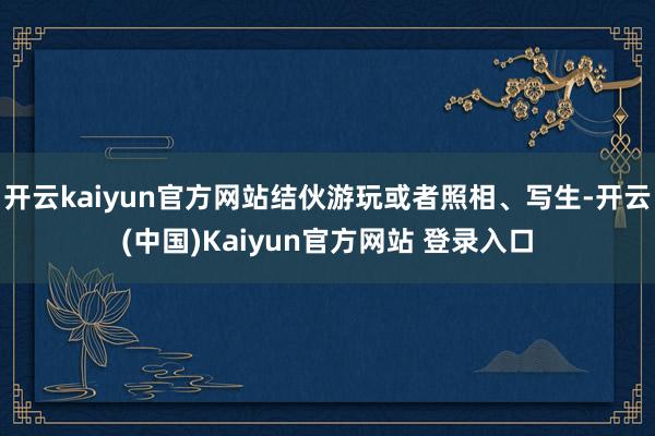 开云kaiyun官方网站结伙游玩或者照相、写生-开云(中国)Kaiyun官方网站 登录入口