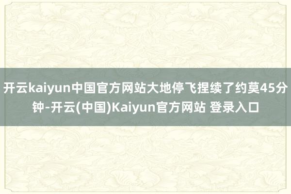 开云kaiyun中国官方网站大地停飞捏续了约莫45分钟-开云(中国)Kaiyun官方网站 登录入口